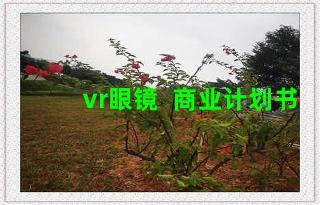 vr眼镜  商业计划书